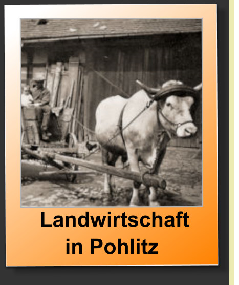 Landwirtschaft  in Pohlitz