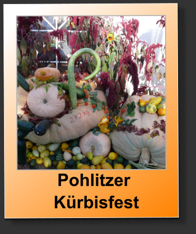 Pohlitzer   Kürbisfest