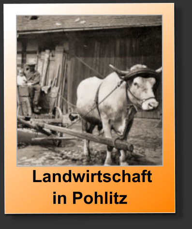 Landwirtschaft  in Pohlitz