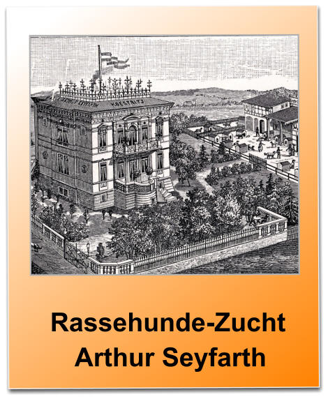 Rassehunde-Zucht   Arthur Seyfarth