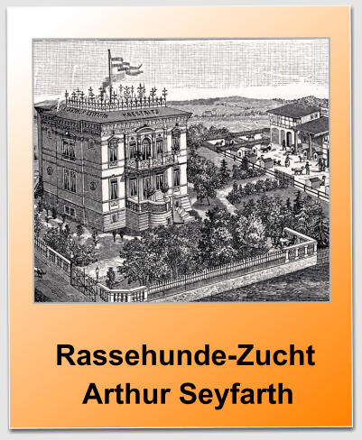 Rassehunde-Zucht   Arthur Seyfarth