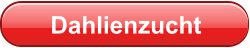 Dahlienzucht