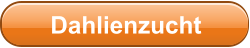 Dahlienzucht