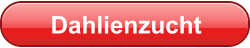 Dahlienzucht