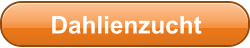 Dahlienzucht
