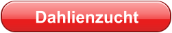 Dahlienzucht