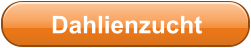 Dahlienzucht