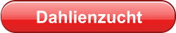 Dahlienzucht