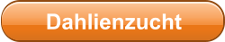 Dahlienzucht