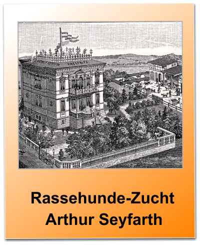 Rassehunde-Zucht   Arthur Seyfarth
